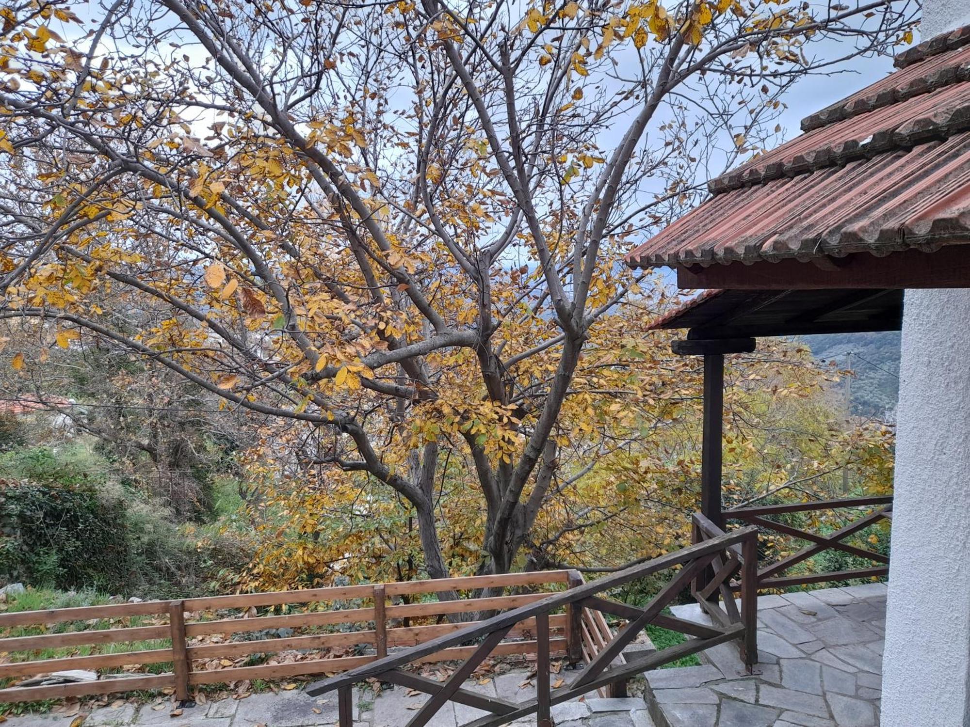 Mountain And Sea View Villa Mileai Exterior photo